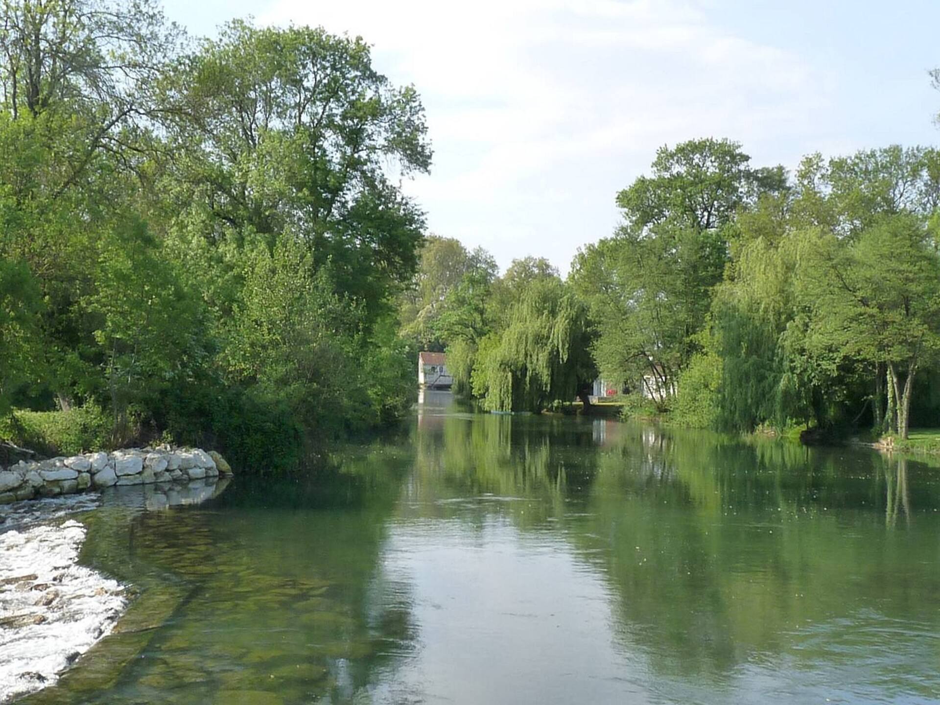 Le fleuve Charente bordé de verdure, à quelques minutes de la tiny house